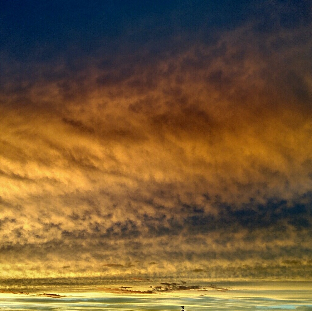 Meet your Posher, Doreen